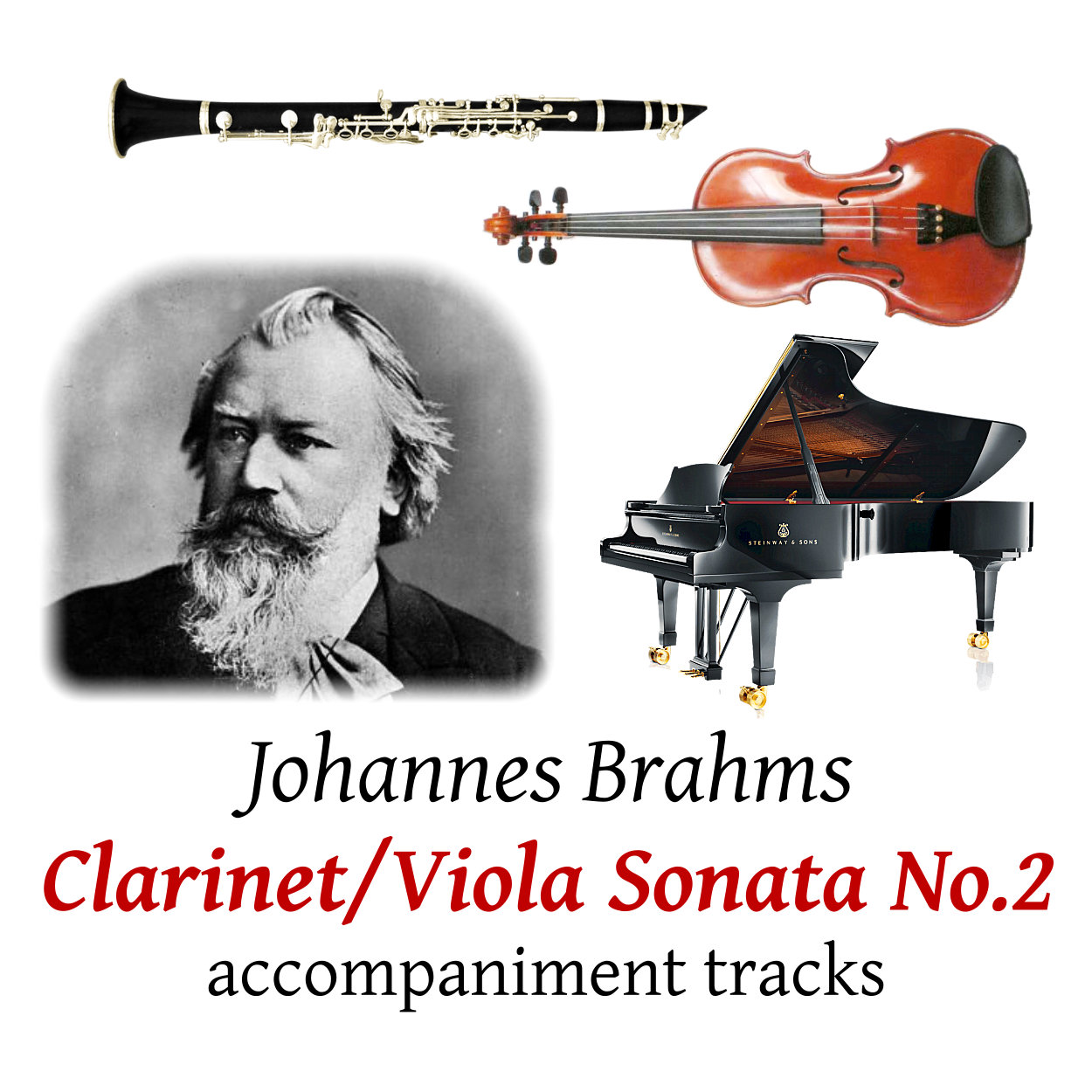 accompaniment trscks for Brahms: Clarinet (Viola) Sonata No.2