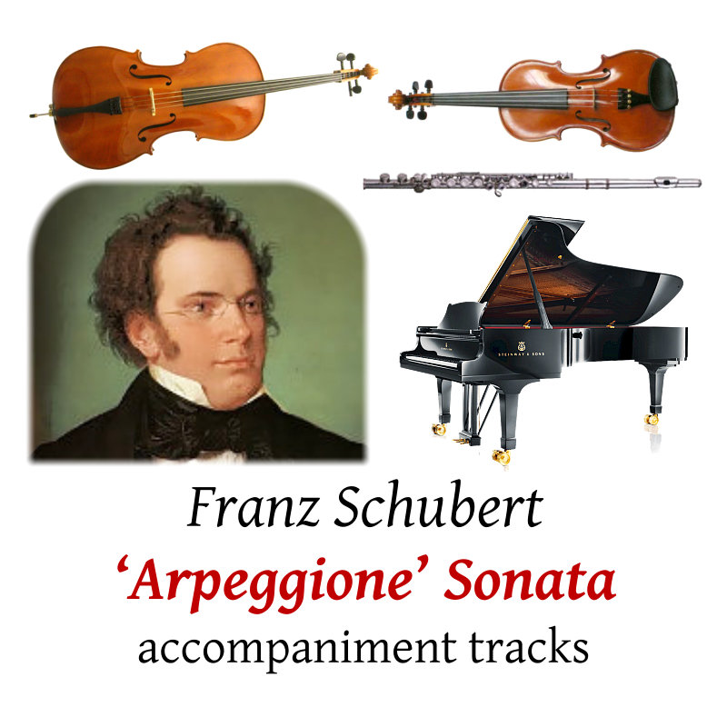 Schubert: Arpeggione Sonata D.821