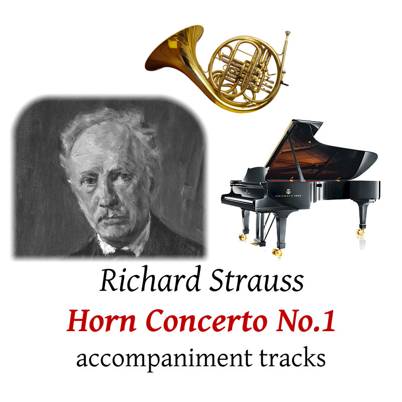 accompaniment trscks for Strauss: Horn Concerto No.1 in Eb